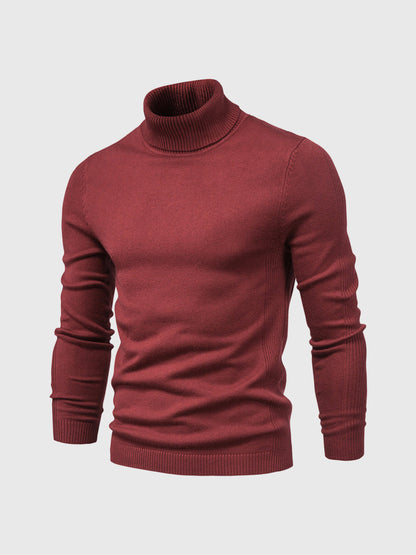 Jersey hombre Cuello alto Slim fit Ajustado