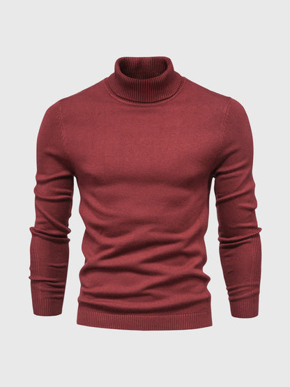 Jersey hombre Cuello alto Slim fit Ajustado