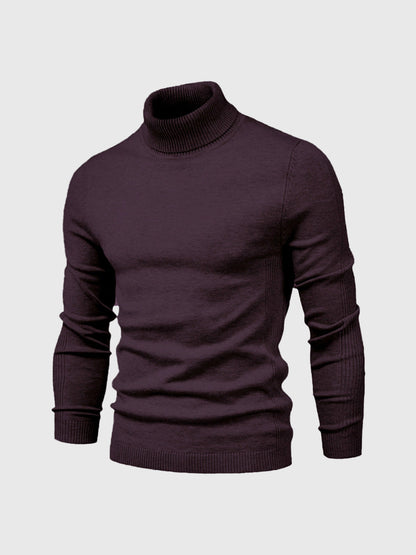 Jersey hombre Cuello alto Slim fit Ajustado