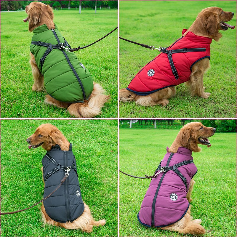 Abrigo invierno perro aislado con arnés integrado ajustable