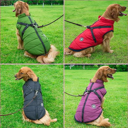 Abrigo invierno perro aislado con arnés integrado ajustable