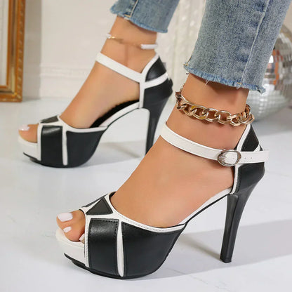 Zapatos Mujer Elegantes Clásicos