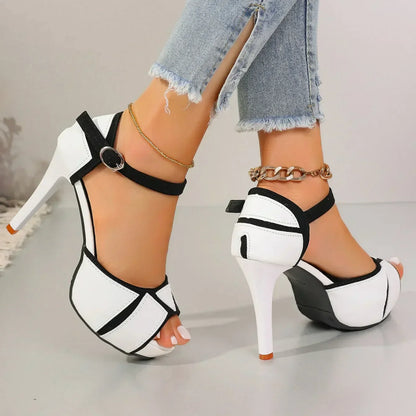 Zapatos Mujer Elegantes Clásicos