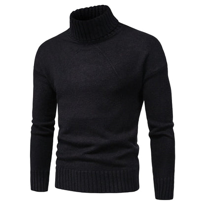 Suéter Hombre de Punto Casual Cuello Alto